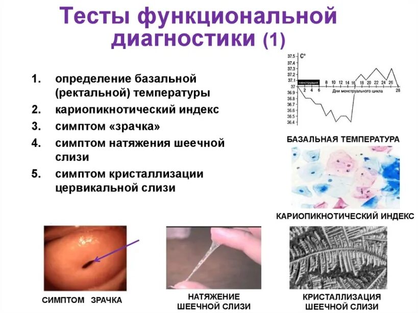 Слизистая при овуляции. К тестам функциональной диагностики относят. Тесты функциональной диагностики в акушерстве. Тест функциональная диагностика гинекология. Синдром натяжения цервикальной слизи.