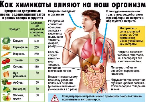 После попадания в организм. Влияние пестицидов на человека. Как пестициды влияют на организм человека. Болезни от пестицидов. Влияние ядохимикатов на организм человека.