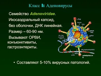 Грипп аденовирус