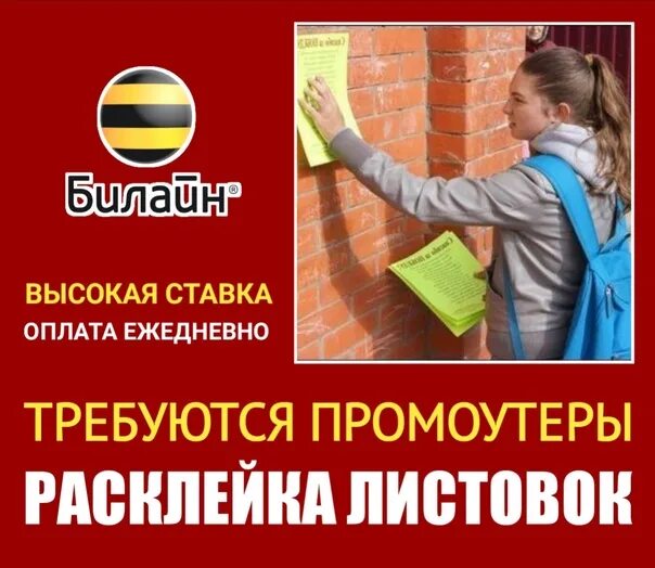 Ежедневная выплата краснодар. Листовка вакансии. Номер расклеивания листовок. Оплата ежедневно. Расклейка листовок с 12 лет оплата.