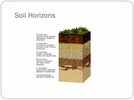 Soil перевод