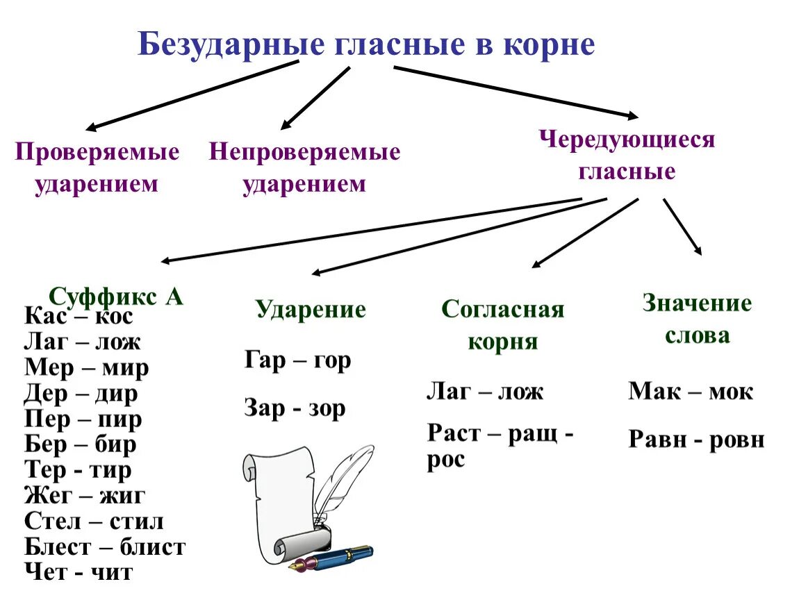 Безударные гласные в корне слова проверяемые ударением. Написание слов с безударной гласной в корне слова. Правописание безударных гласных в корне слова проверяемых ударением. Безударная проверяемая гласная.