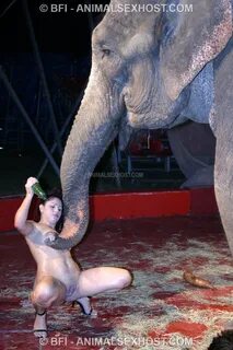 Slideshow she rides elephant dick.