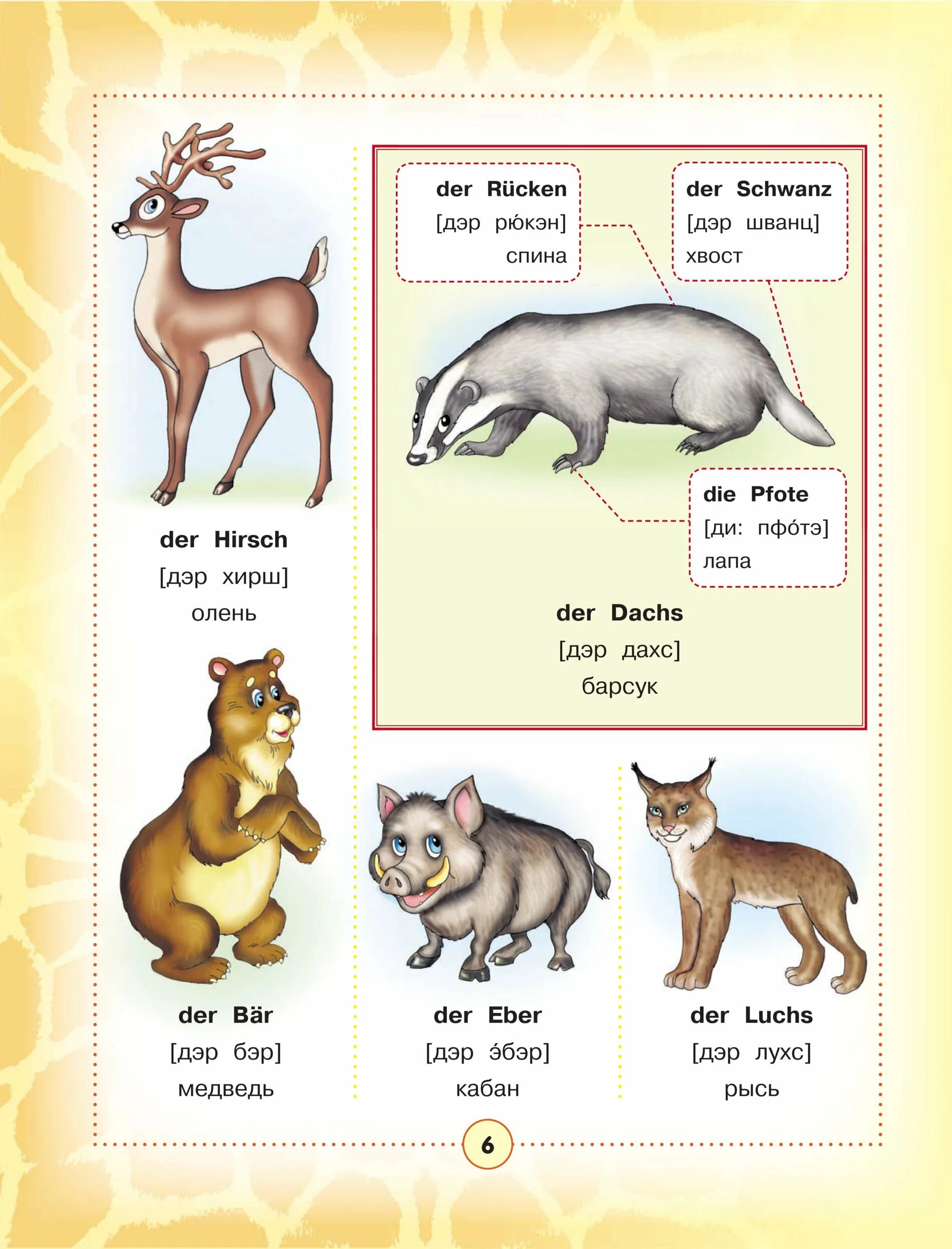 Немецкие слова животные. Животные на английском языке для детей. Животные на английском для детей с произношением. Животные на англ с транскрипцией. Дикие животные на английском для детей.