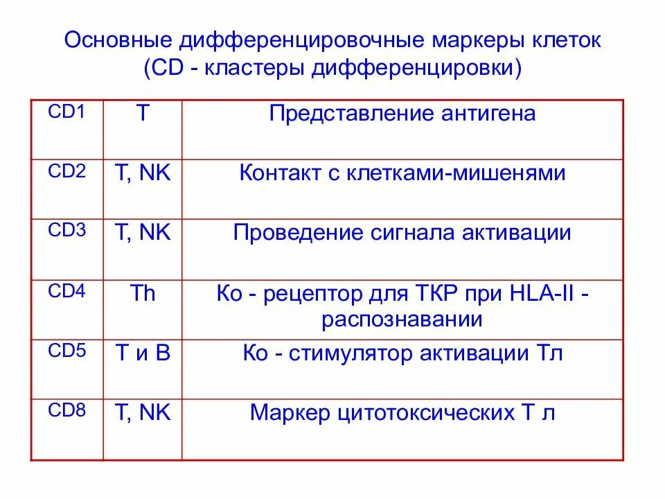 Дифференцировочные маркеры CD номенклатура. Кластеры дифференцировки CD. Дифференцировочные антигены CD маркеры. Кластеры дифференцировки лимфоцитов таблица.