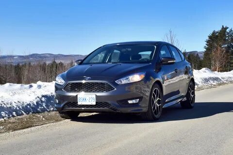 Focus 15