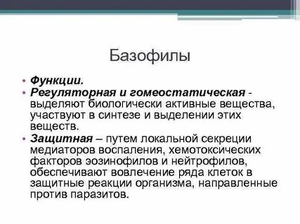 Базофилы функции