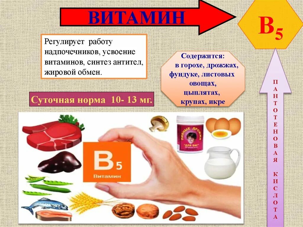 Биология 9 класс тема витамины. Витамины урок. Презентация по теме витамины. Сообщение о витаминах. Витамины биология.