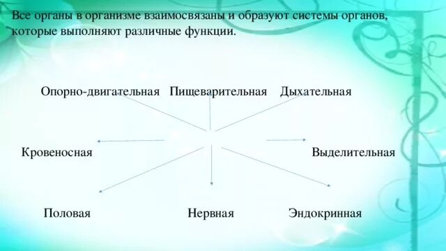 Каким образом системы органов животного взаимосвязаны. Каким образом системы органов животного взаимосвязаны