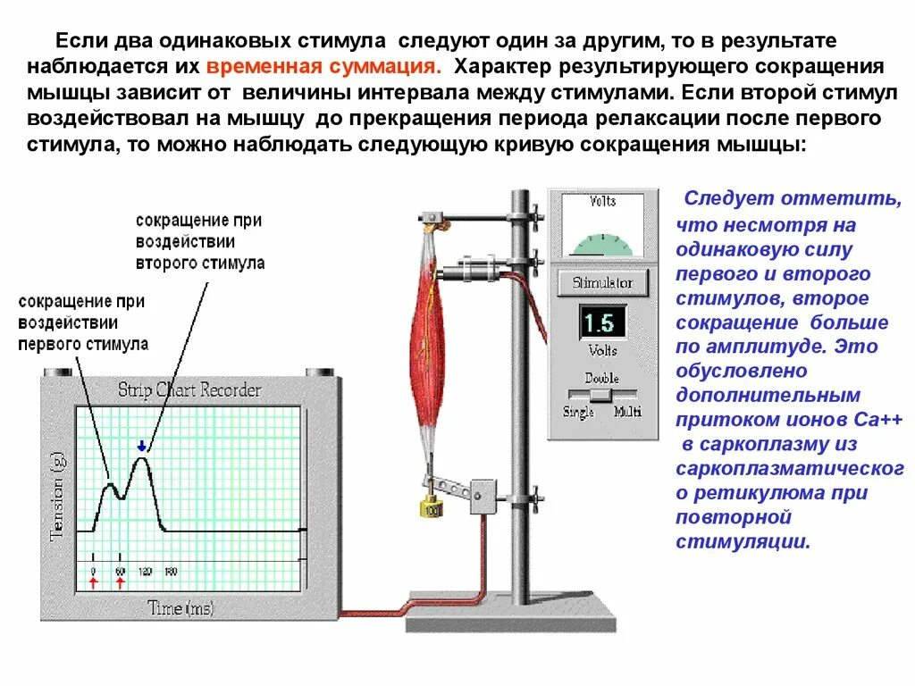 Амплитуда мышечных сокращений физиология. Амплитуда мышечного сокращения это. Амплитуда сокращения мышц это. Прибор для сокращения мышц. Какой ток вызывает сокращение мышц