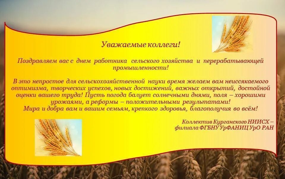 Официальное поздравление с днем работника сельского хозяйства. Поздравления с днем сельского хозяйства официальные. Поздравление с днем работника сельского хозяйства. Поздравление министру сельского хозяйства