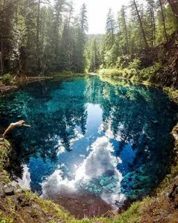 Красивая чистая природа
