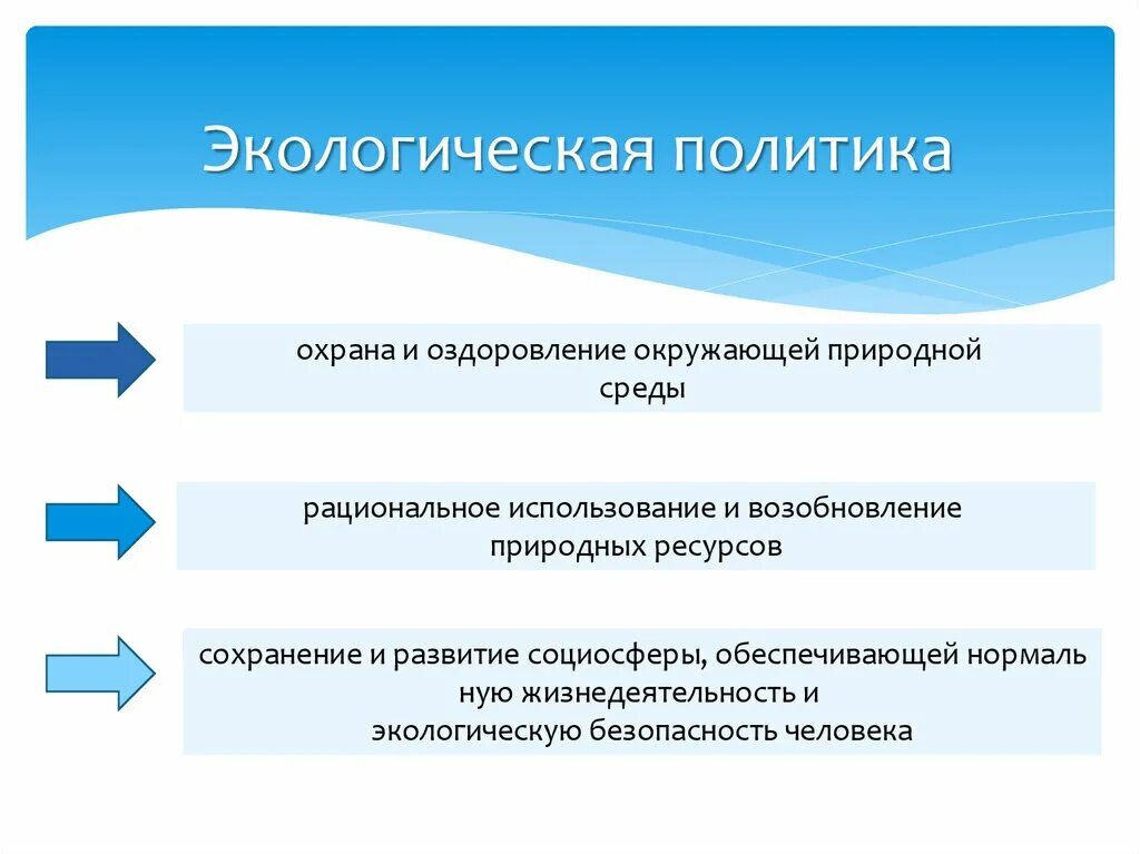 Основные положения экологической политики
