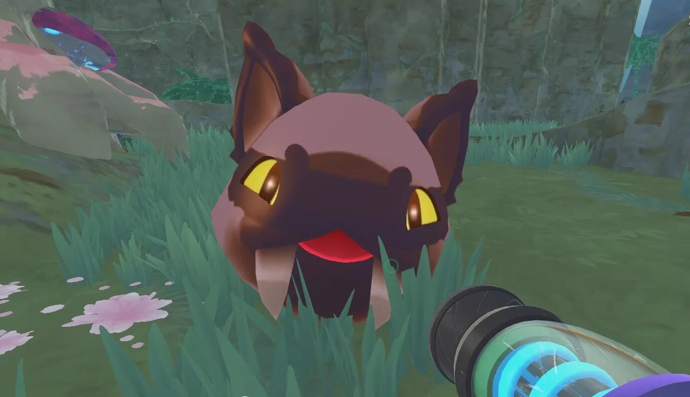 Слайм ранчер кот. Охотник слайм slime rancher. Охотничий слайм slime rancher. Слайм ранчер охотник слайм. Slime rancher ларго.