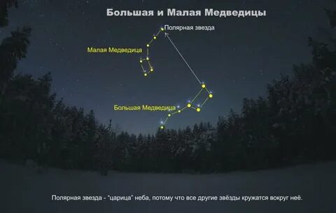 Картинки малой медведицы
