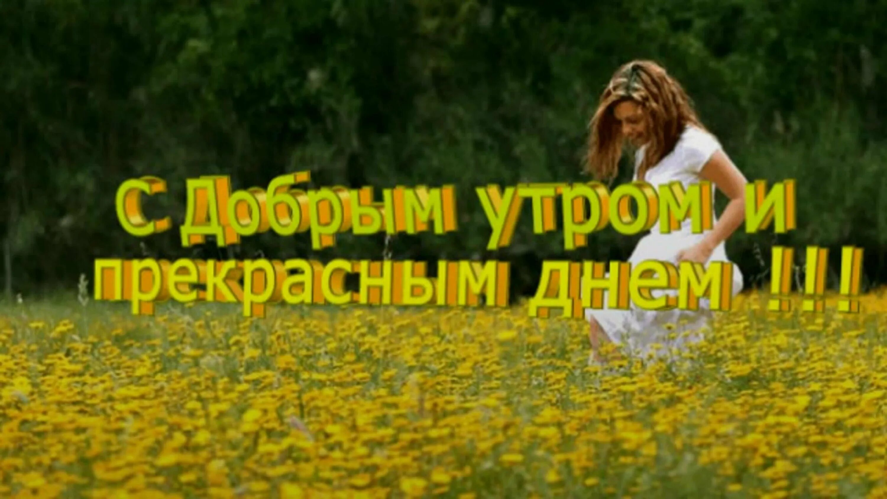 Жизнь прекрасна и удивительна с добрым утром. С добрым утром. жизнь прекрасна утром. прекрасное начало дня. отличный день прекрасная жизнь.