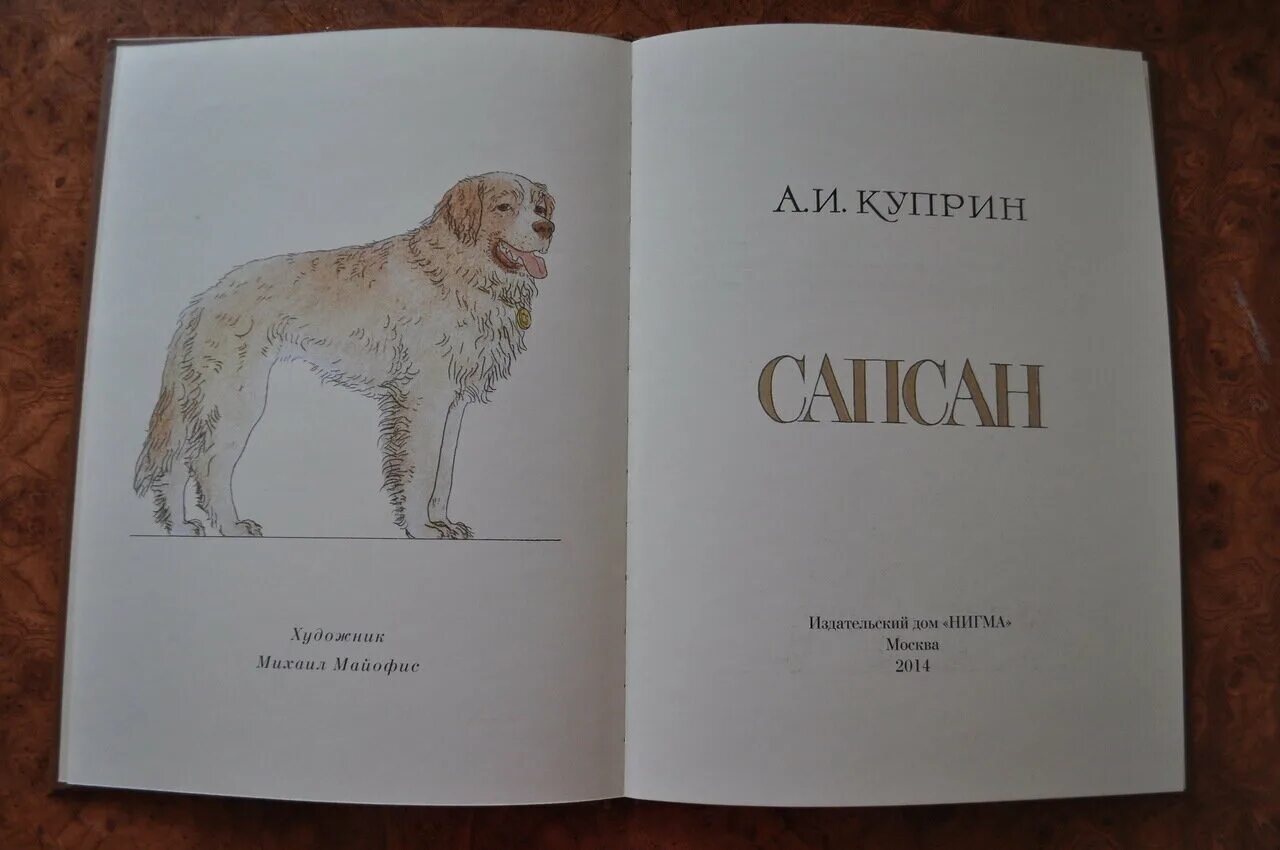 Произведения о мыслях животных. Сапсан собака Куприн. Куприн а. "Сапсан". Куприн Сапсан иллюстрации. План мысли Сапсана о людях животных.