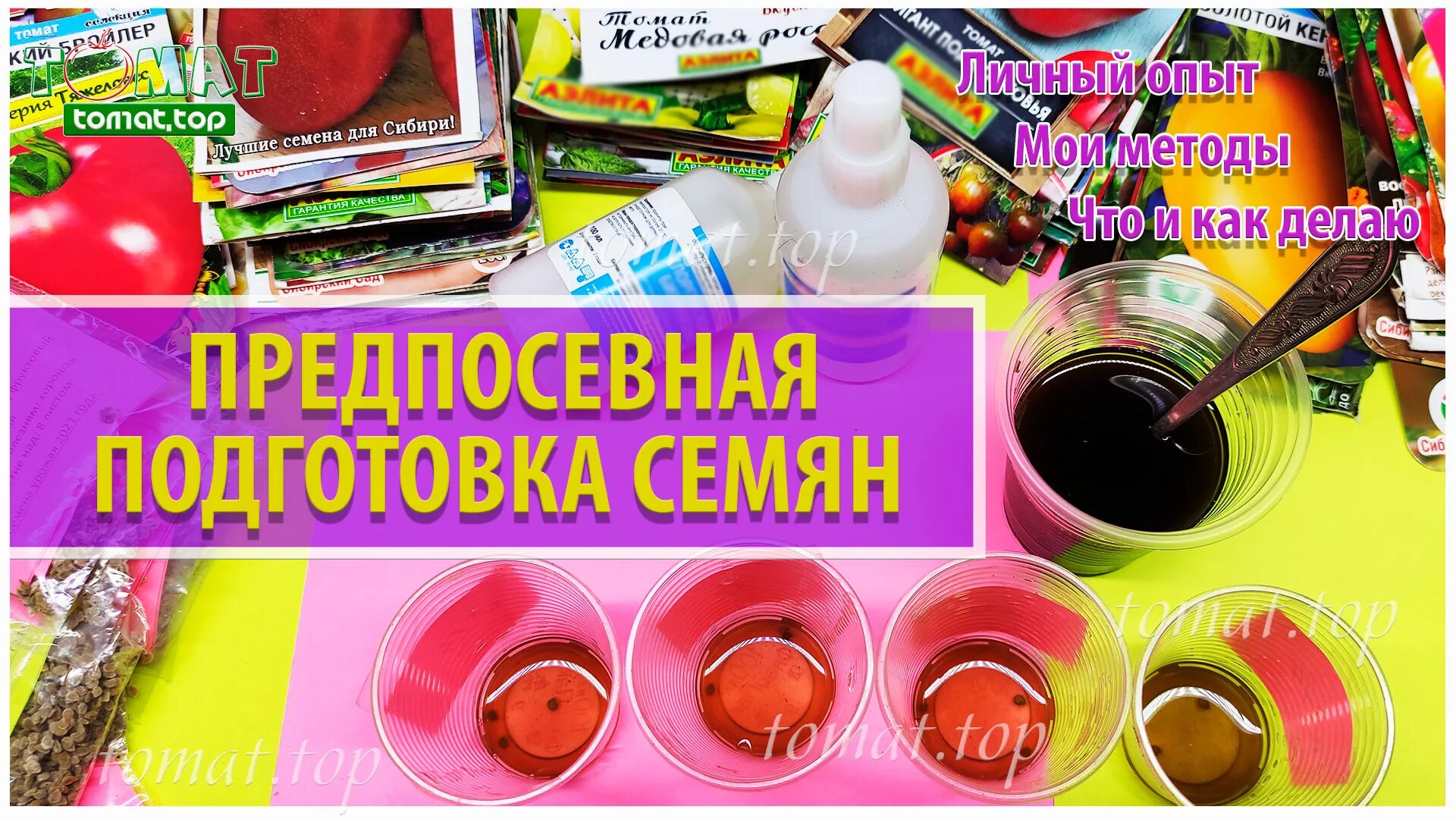 Подготовка помидор к посадке на рассаду семян. Предпосевная обработка семян. препараты для замачивания семян. посев. барботирование семян.