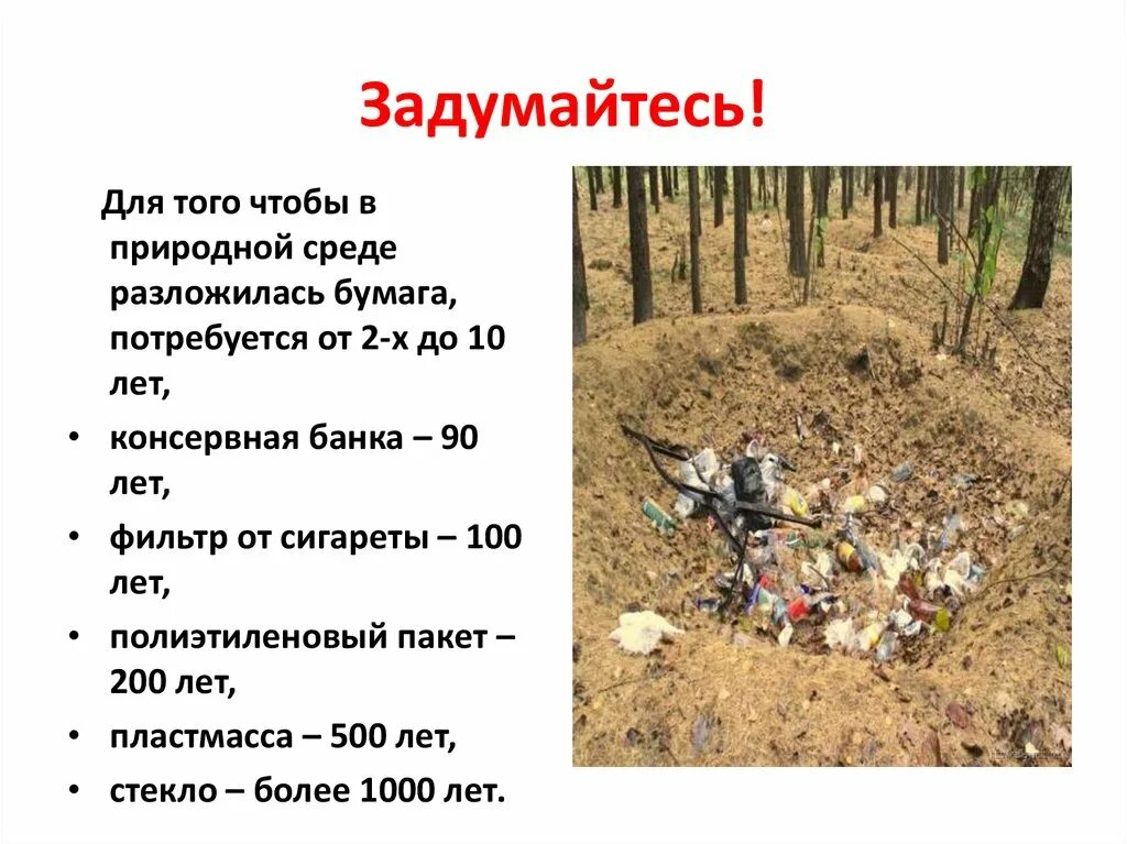 Среда разложения