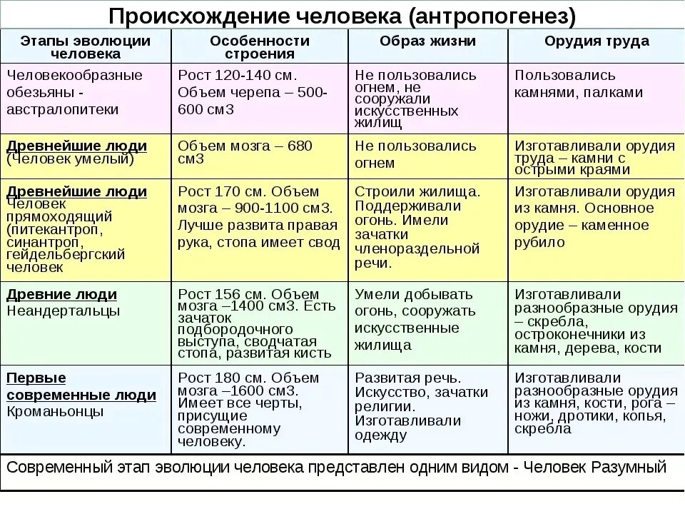 Этапы развития текста. Этапы эволюции человека таблица 9 класс. таблица по биологии основные стадии антропогенеза. таблица по биологии 9 класс этапы антропогенеза. основные этапы антропогенеза (эволюция предков человека).