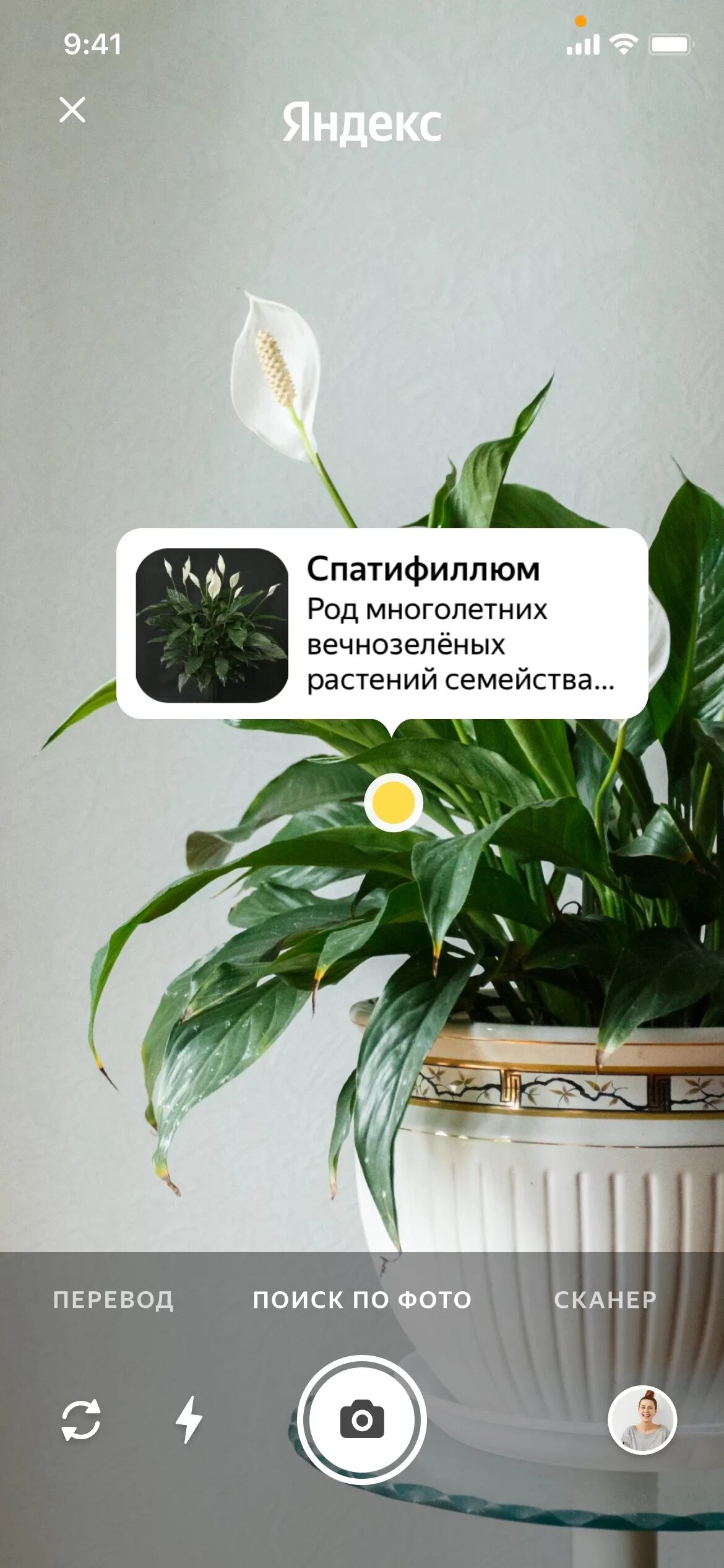 Где включить умную камеру