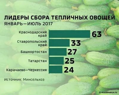 Лидер сбор