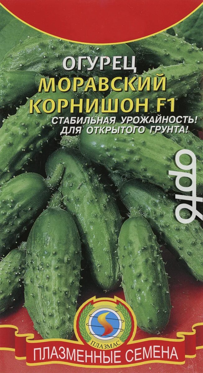 Сорт огурцов корнишон для открытого. Огурец сорта моравский корнишон. Огурец корнишон тотоша. Огурцы корнишоны сорта. Огурец корнишон f1.