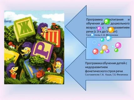 Филичева чиркина программа общее недоразвитие речи