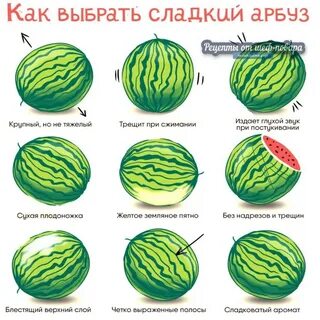 Тест какой ты арбуз