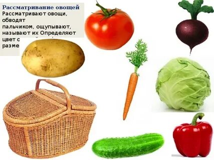 Есть слово овощ