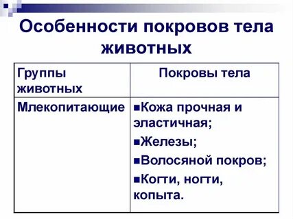Интересные факты о покровах тела животных