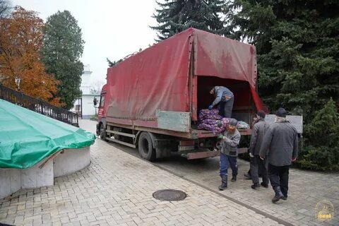 8 гуманитарный