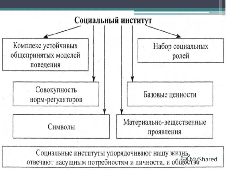 Понятие социальный институт виды социальных институтов