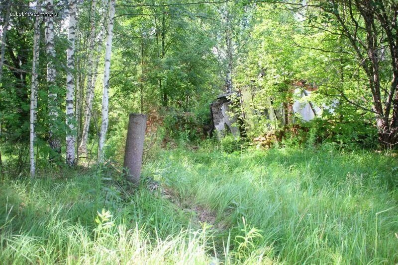 Растения гатчинского района ленинградской области. Утрех Нижегородская область поселок. Поселок Дальний Утрех. Нижний Тагил поселок Дальний. Красная Долина Ленинградская область.