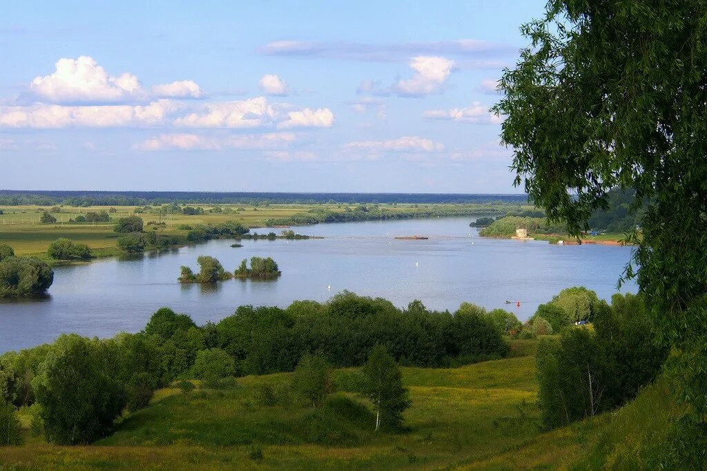 Малиновое поле Есенин. Малиновая Русь. Тесаные. О Русь малиновое поле и синь упавшая в реку люблю. Запели тесаные дроги стихотворение