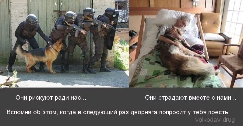 Рискуя жизнью ради жизни