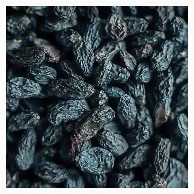 изюм изабелла. узбекская термо. изюм терма узбекистан. узбекская термо. изюм черный терма узбекистан.