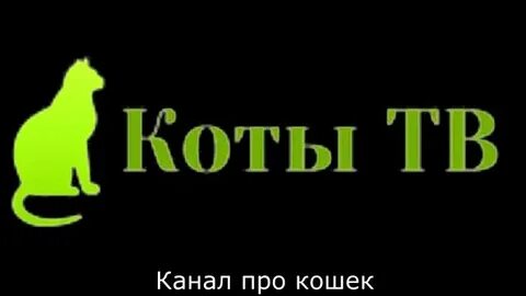 Канал коте