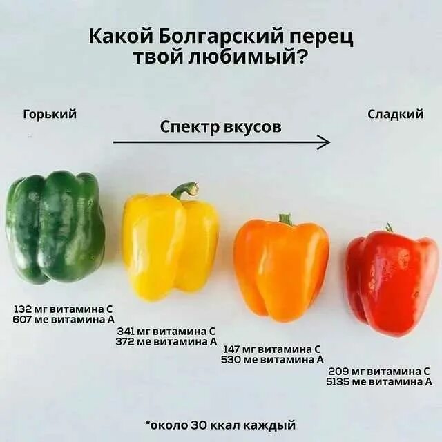 Перец мужской и женский плод. Перец мужской и женский. Перец девочка. Перец мужской и женский. Женский перец болгарский.