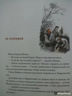 Брусничкины рассказы осколки