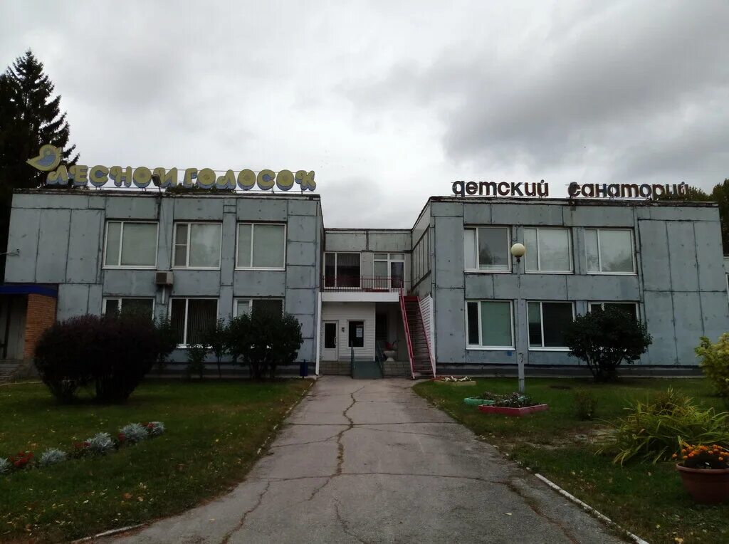 Лесной голосок тольятти. Голосок тольятти. Голосок тольятти. Лесной голосок тольятти логотип. Лесной голосок тольятти.