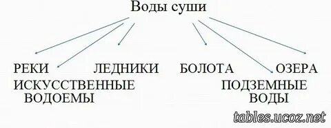Тип вод суши