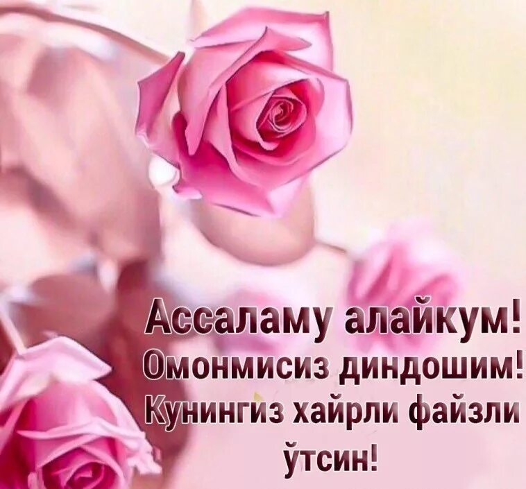 Ассалам алейкум доброе утро. Ассаламу алайкум тонг. Ассалом алайкум хайирли тонн. Ассалому алайкум тонг. Хайирли тонг.