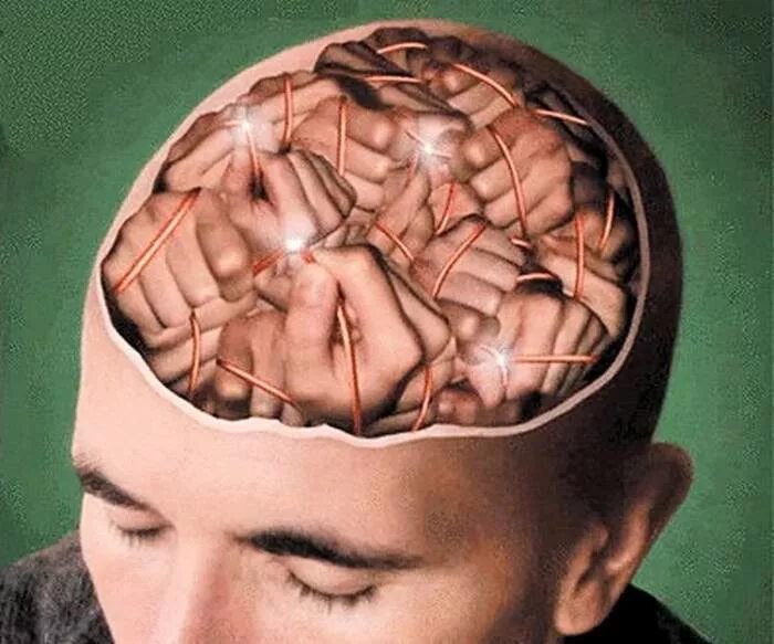 Представил в голове. Мозг в голове. Центр головы. Способности мозга.