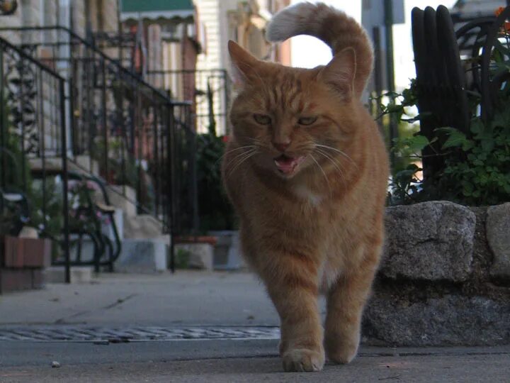 Модератор мем. Модераторы стоит. Шутки про фсб. Требуется модератор в группу. Модератор прикол.