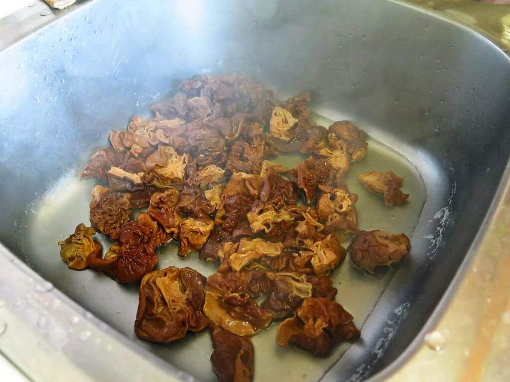 Грибы строчки как готовить правильно и вкусно. Вареные строчки. строчки отварные. сушеные строчки. строчки как их готовить.