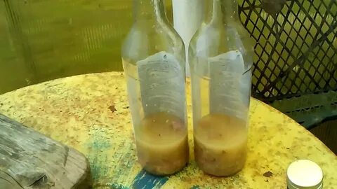 Рецепт бобровой струи на самогоне