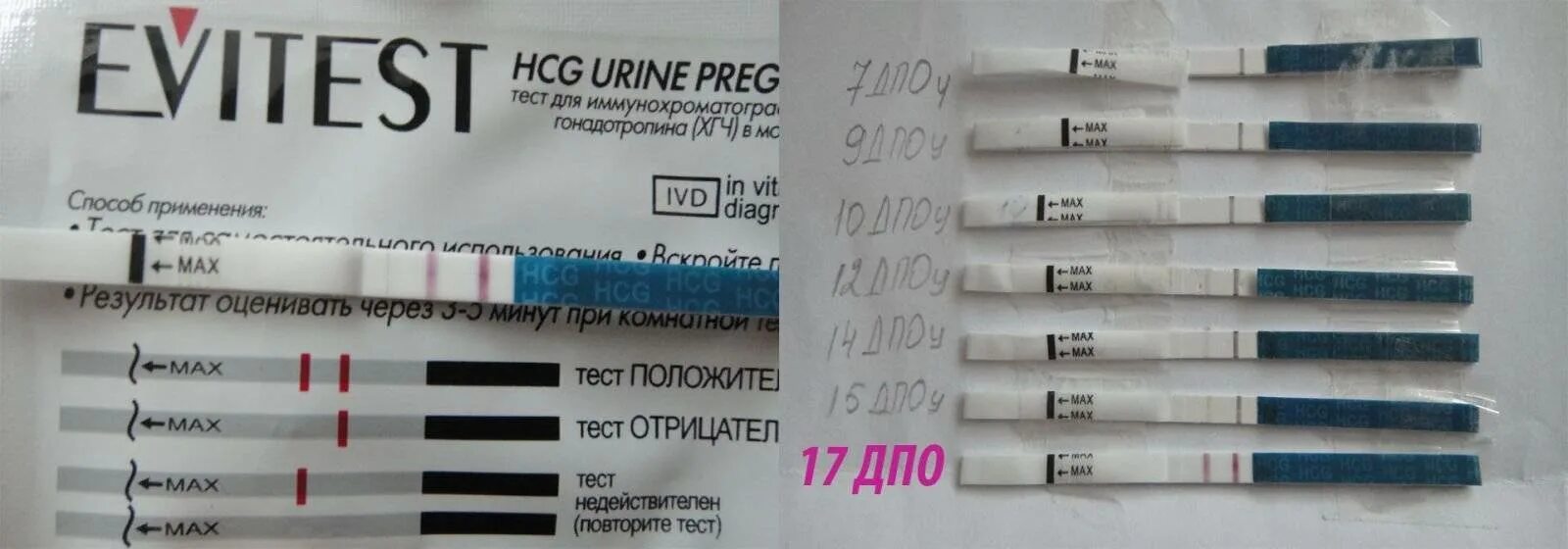 Тест 10 за 12. Тест на беременность. Тесты на беременность по дням. Тест на беременность ДПО. Тест на беременность ошибается.