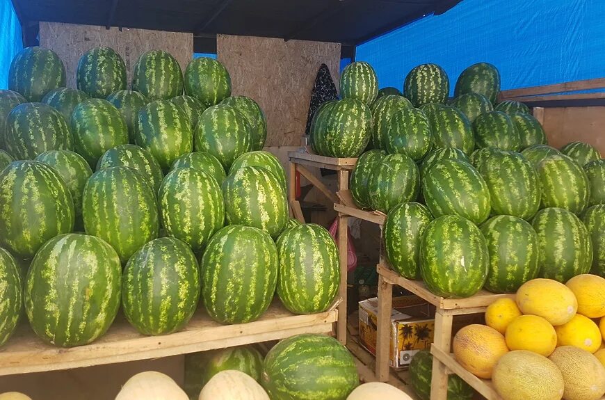 Арбузами продается