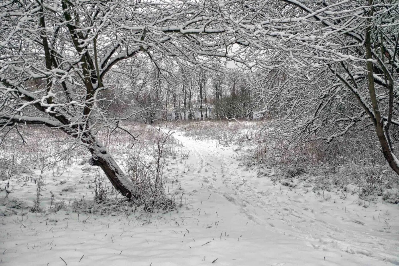 Выпал снег песня слушать. Первый снег. Выпал снег красивые фото. Фото ранней весны красивые природа со снегом. Между нами выпал снег.